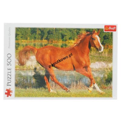 Puzzle Trefl Piękno galopu 500 el