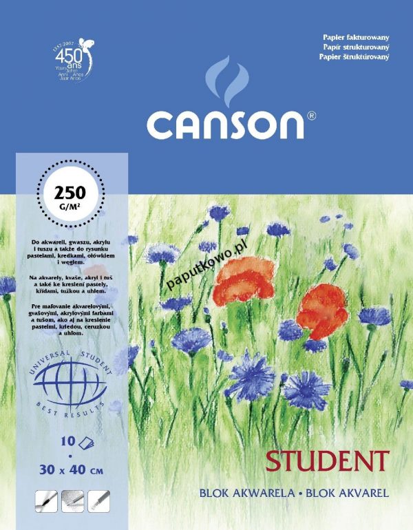 Blok artystyczny Canson Student 250g 10k 340x400 mm (200005507)