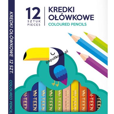 Kredki ołówkowe Noster 12 kol