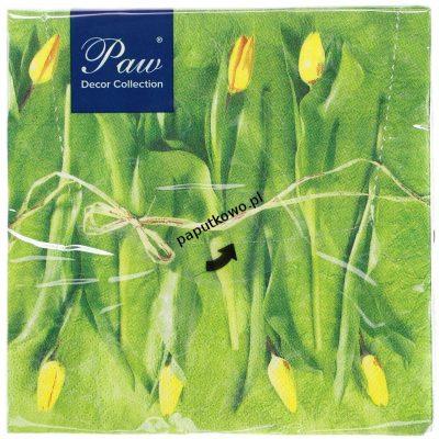 Serwetki Paw Lunch wiosna kolor: mix 330 mm x 330 mm (SDL228300)