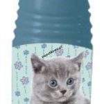 Bidon Beniamin plastikowy Sweet Pets Kot 470 ml (606654)