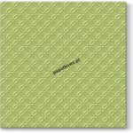 Serwetki Paw Inspiration Modern kolor: zielony 330 mm x 330 mm (SDL100006)