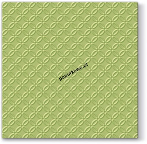 Serwetki Paw Inspiration Modern kolor: zielony 330 mm x 330 mm (SDL100006)