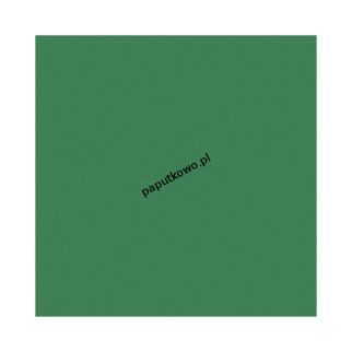 Serwetki Paw kolor: zielony 330 mm x 330 mm (SDL111116)