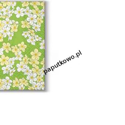 Serwetki Paw Coktail Floral Carpet (green) K kolor: mix nadruk 150 mm x 150 mm (SDC061306) 1