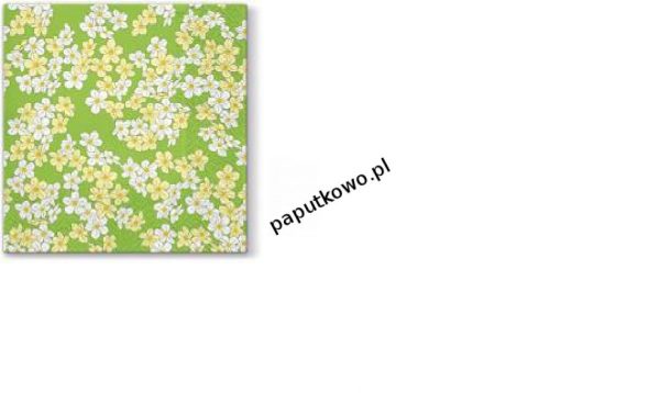 Serwetki Paw Lunch Floral Carpet (green kolor: (różne) 330 mm x 330 mm (SDL061306)