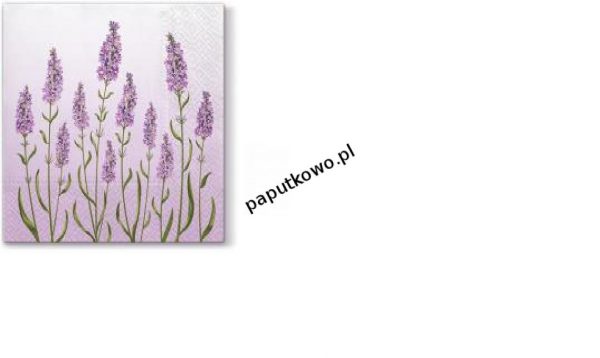 Serwetki Paw Lunch Lavender Field kolor: (różne) 330 mm x 330 mm (SDL060600)